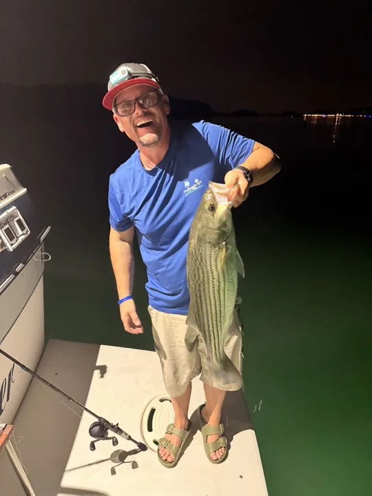 A Lake Lanier striped bass held on the boat
