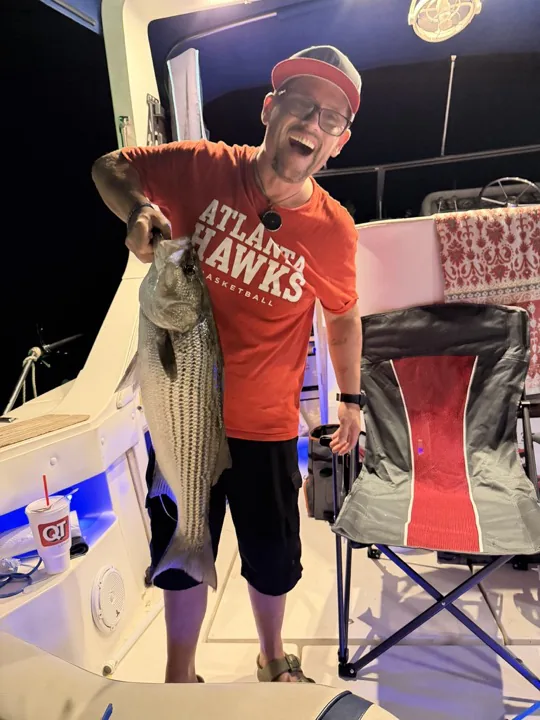 A Lake Lanier striped bass held on the boat