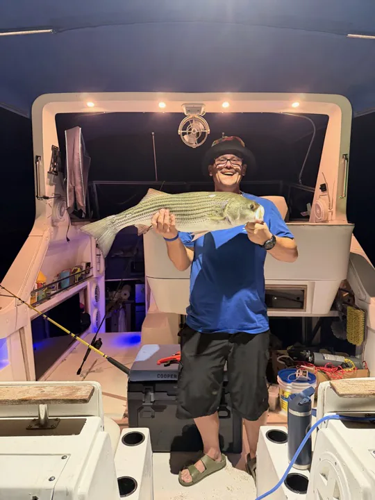 A Lake Lanier striped bass held on the boat